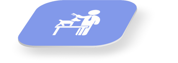 Gamified pet care
